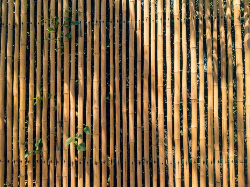Bamboo Garden Design