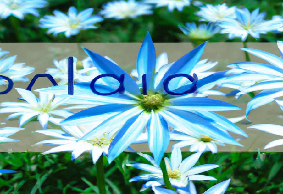 Felicia: A Ground Cover with Blue Daisy-Like Flowers 