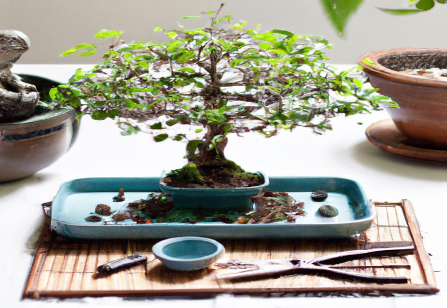 Pruning and Shaping Mame Bonsai: Maintaining the Miniature Form 